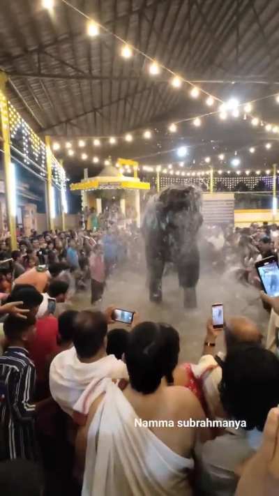 Elephant devotion in kuke temple.