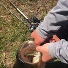 Triple Fish-ception