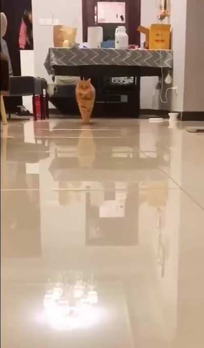 🩰 🥰👉