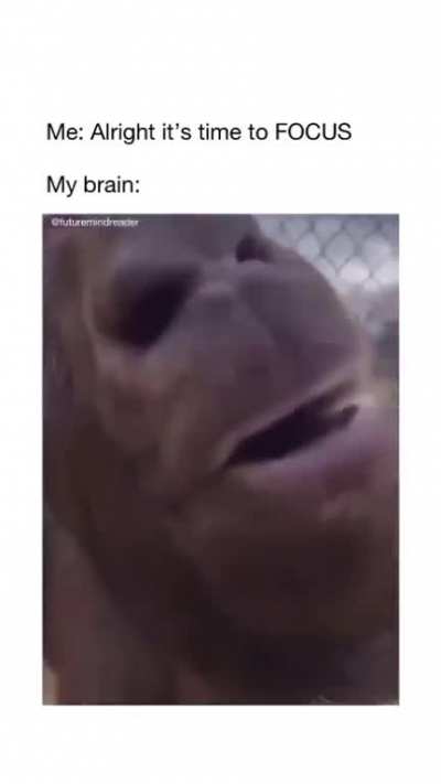 Every fcking time! (Sound on)