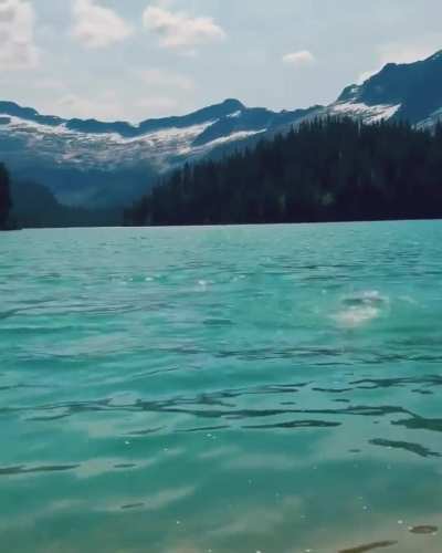 in Canada IG 5.8.24