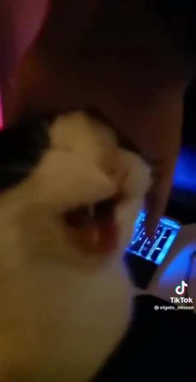 REEEEEEEE
