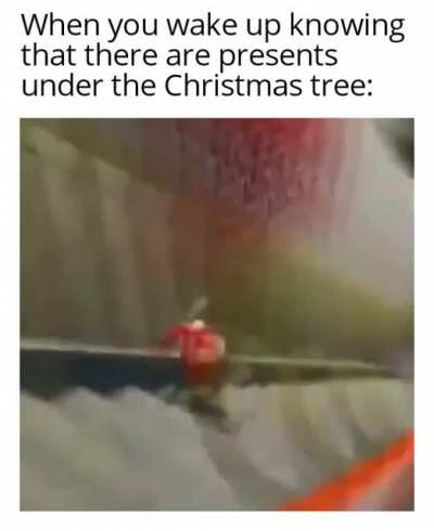me_irl