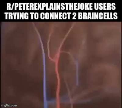 i was banned from r/whenthe
