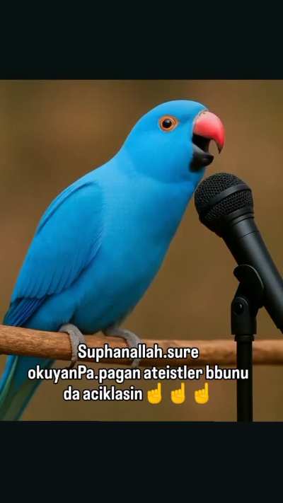 الله أكبر ما شاء الله والحمد لله😭😭😭😭😭😭😭😭😭😭😭😭😭😭😭GOD IS GREATEST
