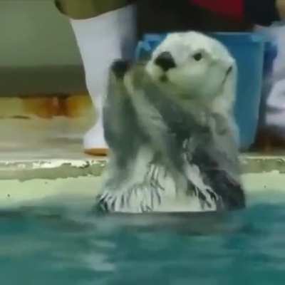 Realising you dont need a human to float