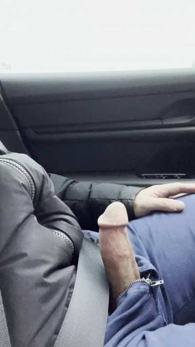 Public Car Boner