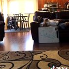 HMF as I react to this roach