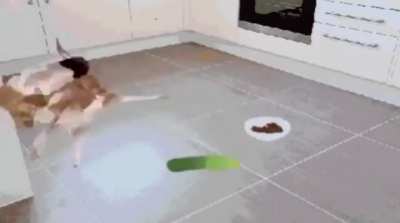 Cet
