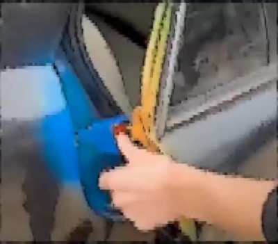 car hecks (mold)