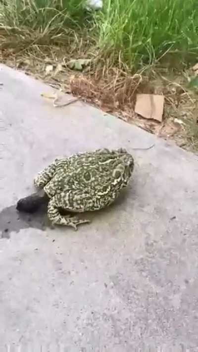 Одним вопро<wbr>сом 