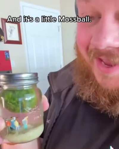 What’s you favorite tiny pointless item? :)