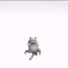 I still remember that tektonik was a thing in the Alive 07 era...