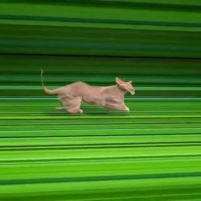 Four-dimensional space