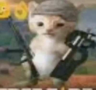 eu_nvr
