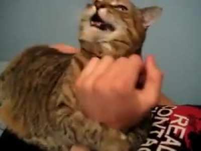 aaaaawaagga
