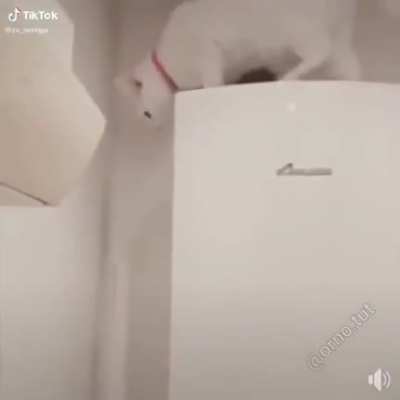 Миссия выполнима
