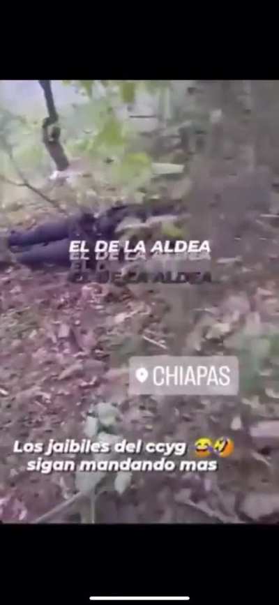 🇲🇽🇲🇽