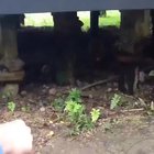 to fistbump