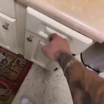 SquarePosting - Video #0353