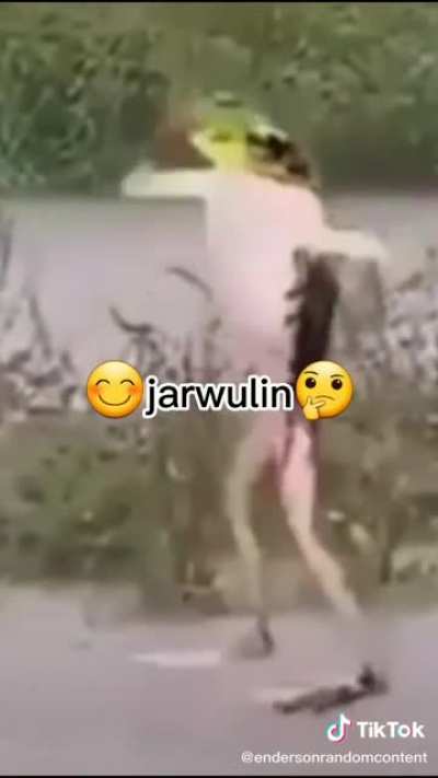 Feli jargolin😆