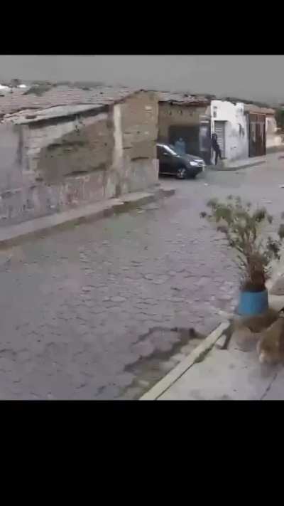 They took his pants.... 😆 🤣 😂 