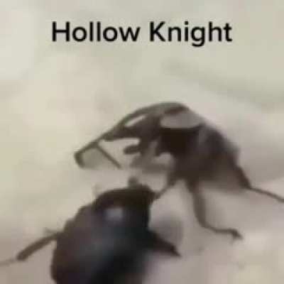 It do be like that