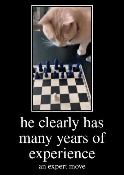 chess rule