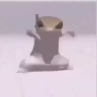 lizard