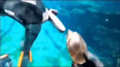 Underwater scream