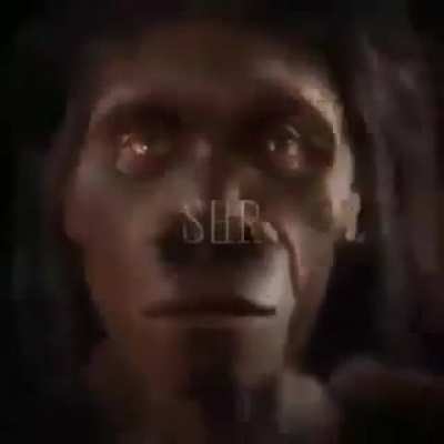 Monkiland Live action?