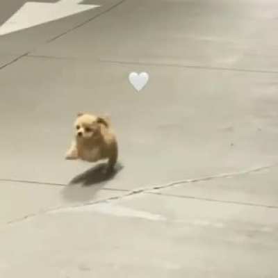 I’m running fastest I can wait for meee