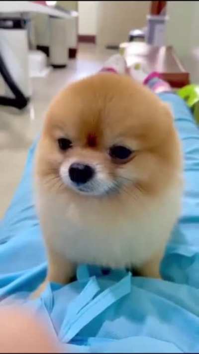 Yes?