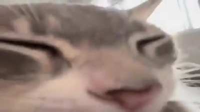 Wunki