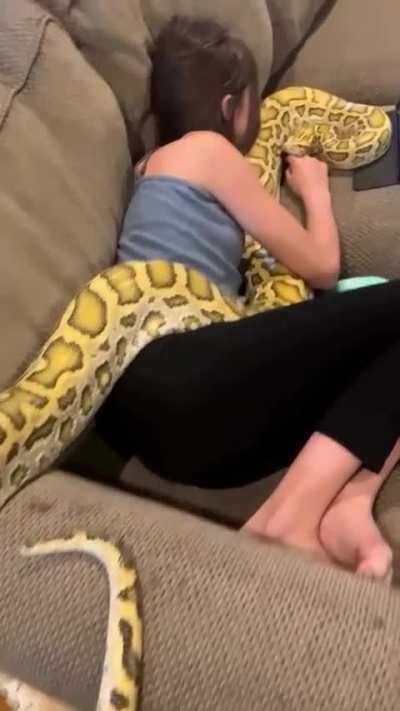 What morph is that? 
