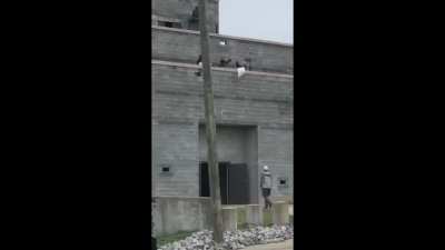 Public execution