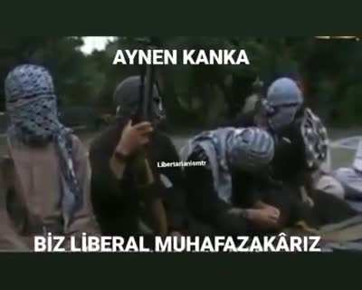 aynknkolemiolmus