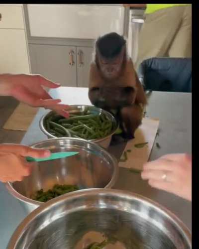 Are new cook is here
