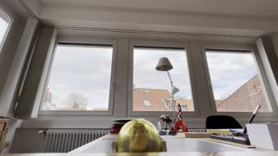 Endlich! Der höhenverstellbare Schreibtisch wurde geliefert!