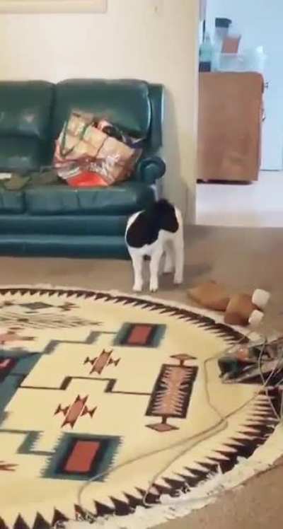 What are you doing in the house?