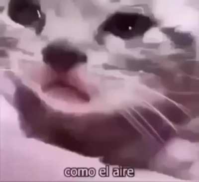 :(