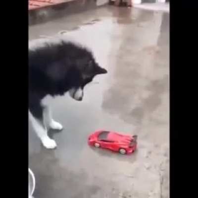 kkkkkkk