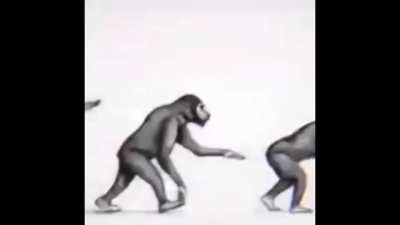 evolution