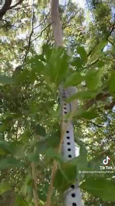 Life, uh, finds a way