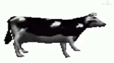 Ci ho provato (video vecchio ma mi piaceva l’idea)