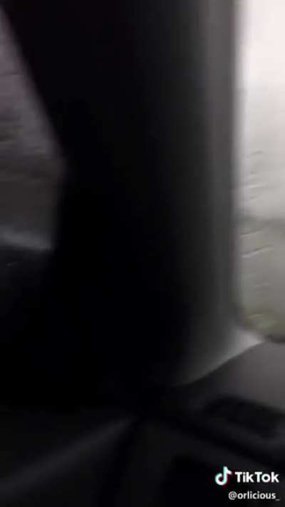 A video for us to see