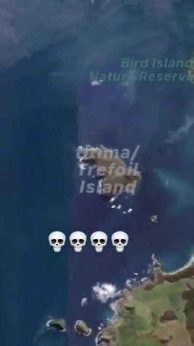 when the island sus :D