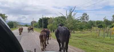 Guess there was a bit of traffic on the road.