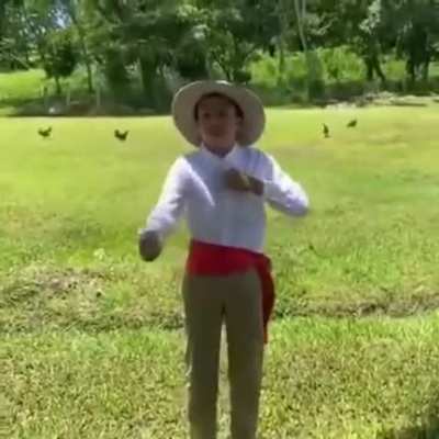 XD