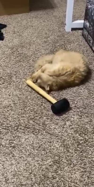 It’s hammer time!
